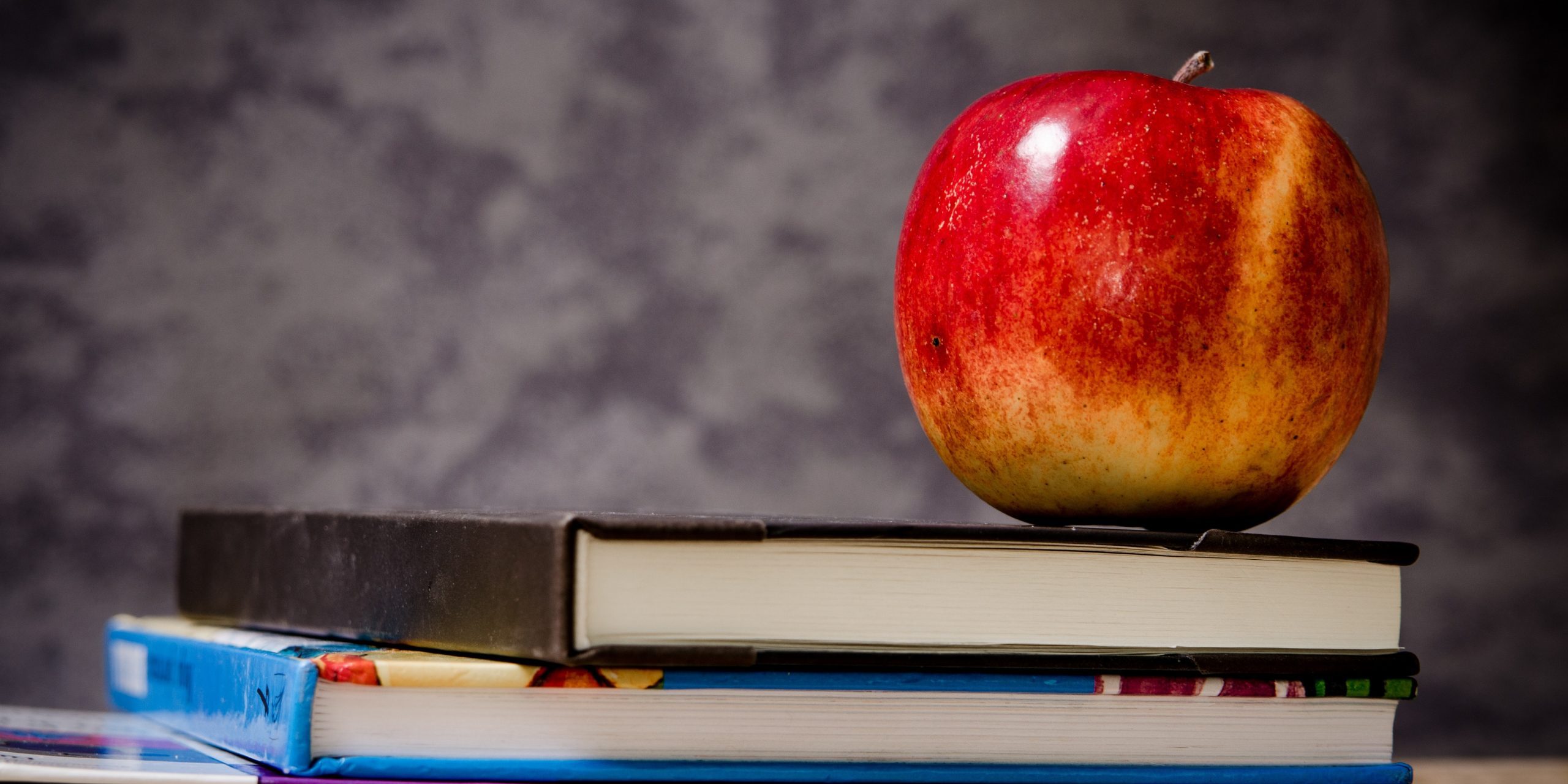 pexels-pixabay-256520