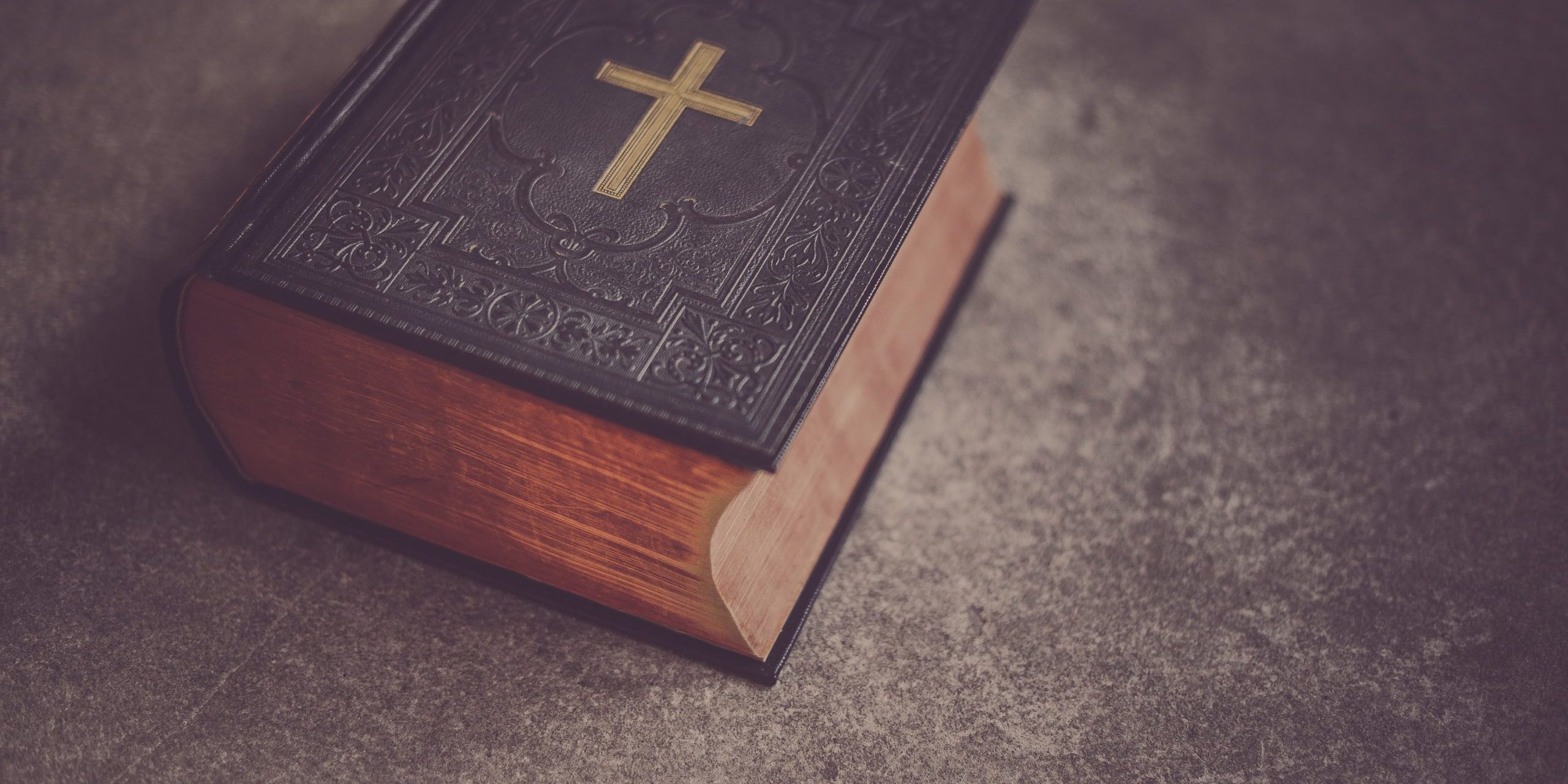 kiwihug-L4gw27XZN1I-unsplash